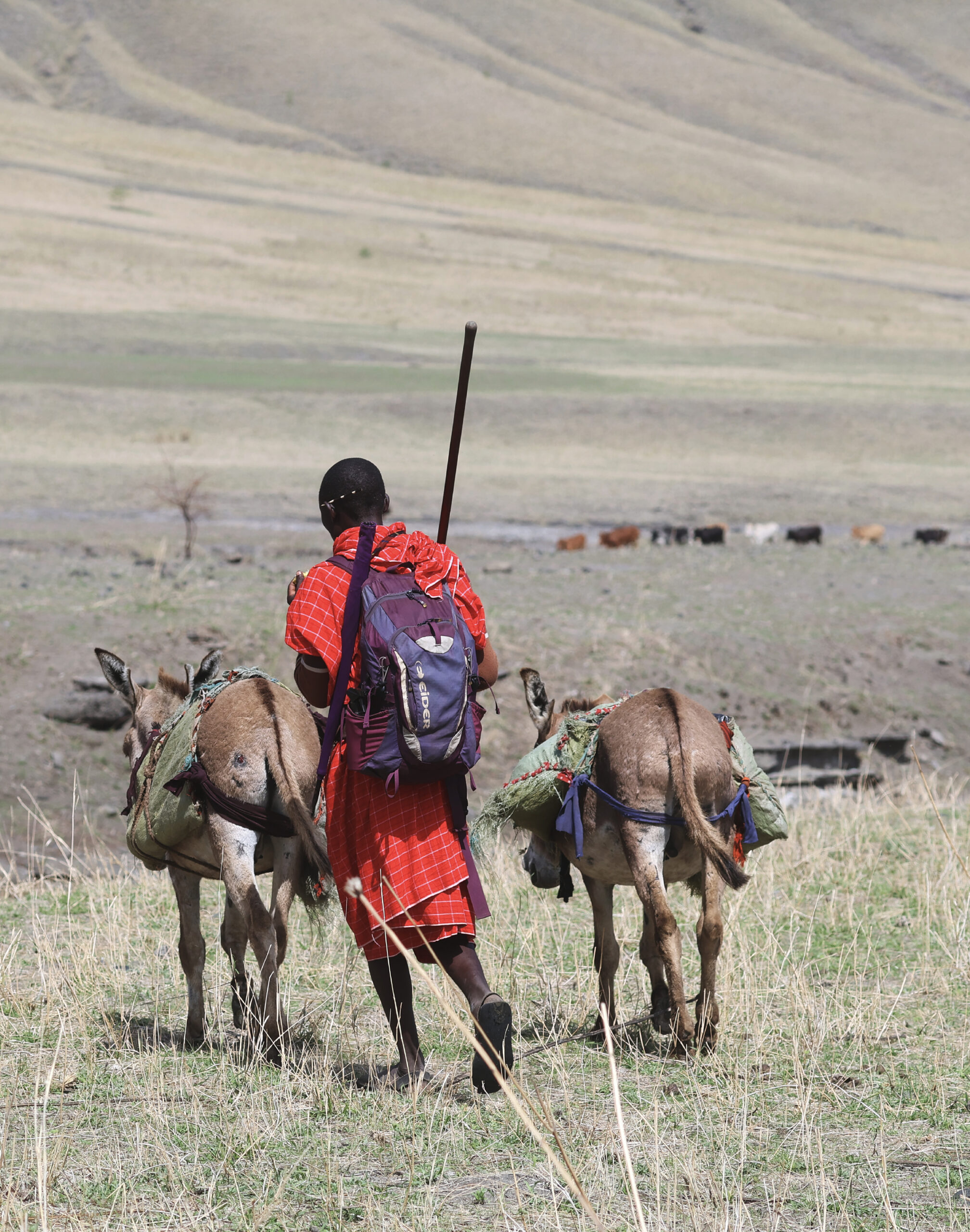 culture-tanzanie-anes
