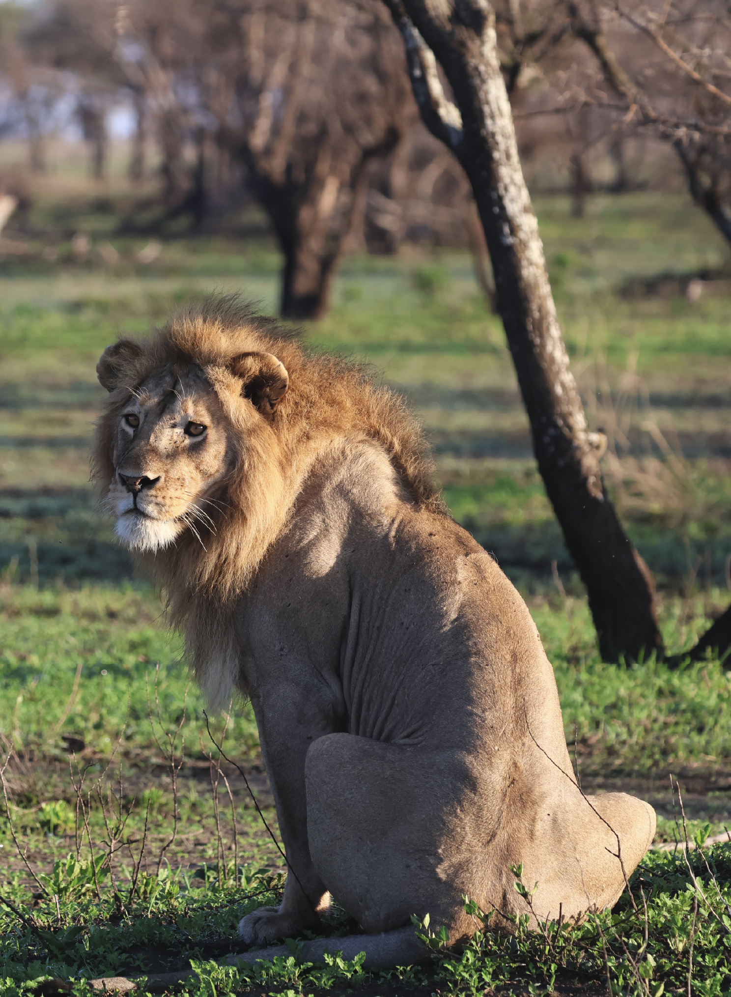 exemples-Activités-tanzanie-eunoto-06