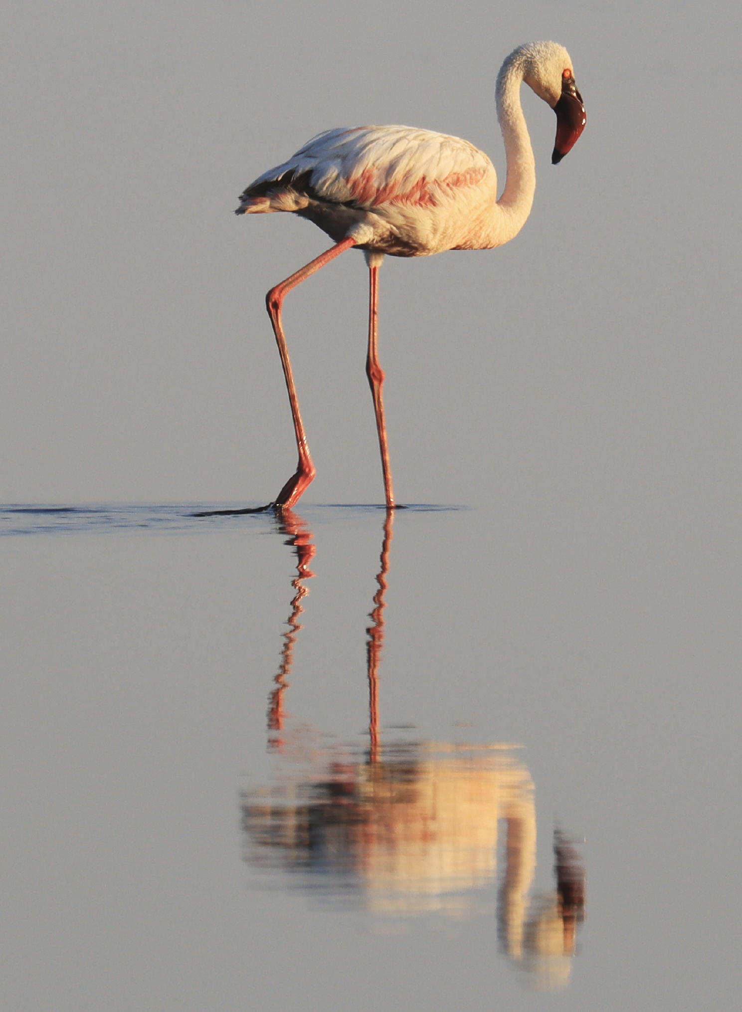 exemples-Activités-tanzanie-eunoto-07