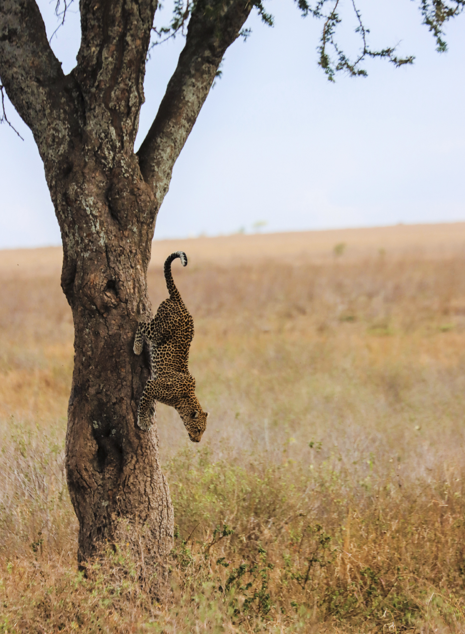 exemples-Activités-tanzanie-eunoto-08