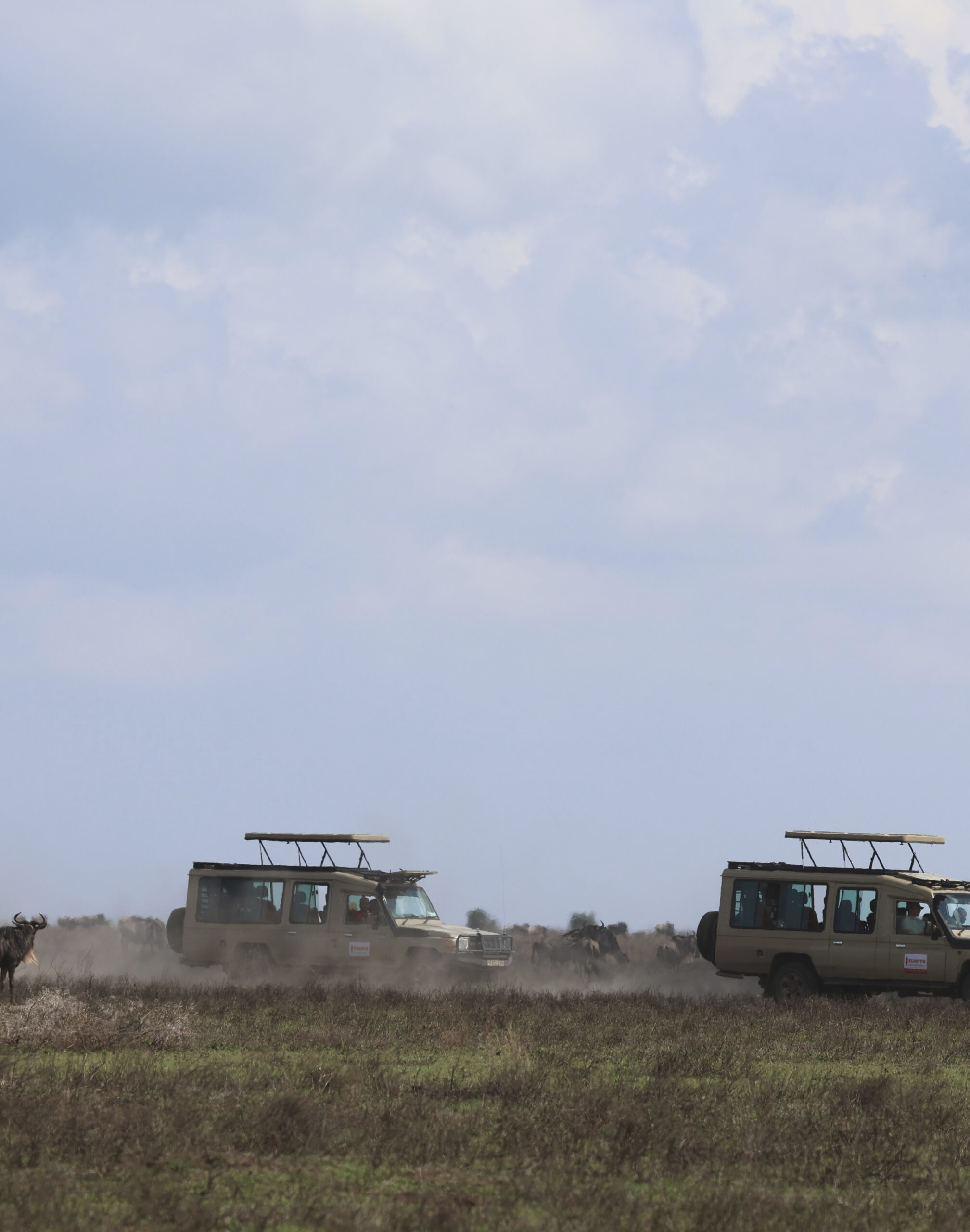 safaris-tanzanie_voitures