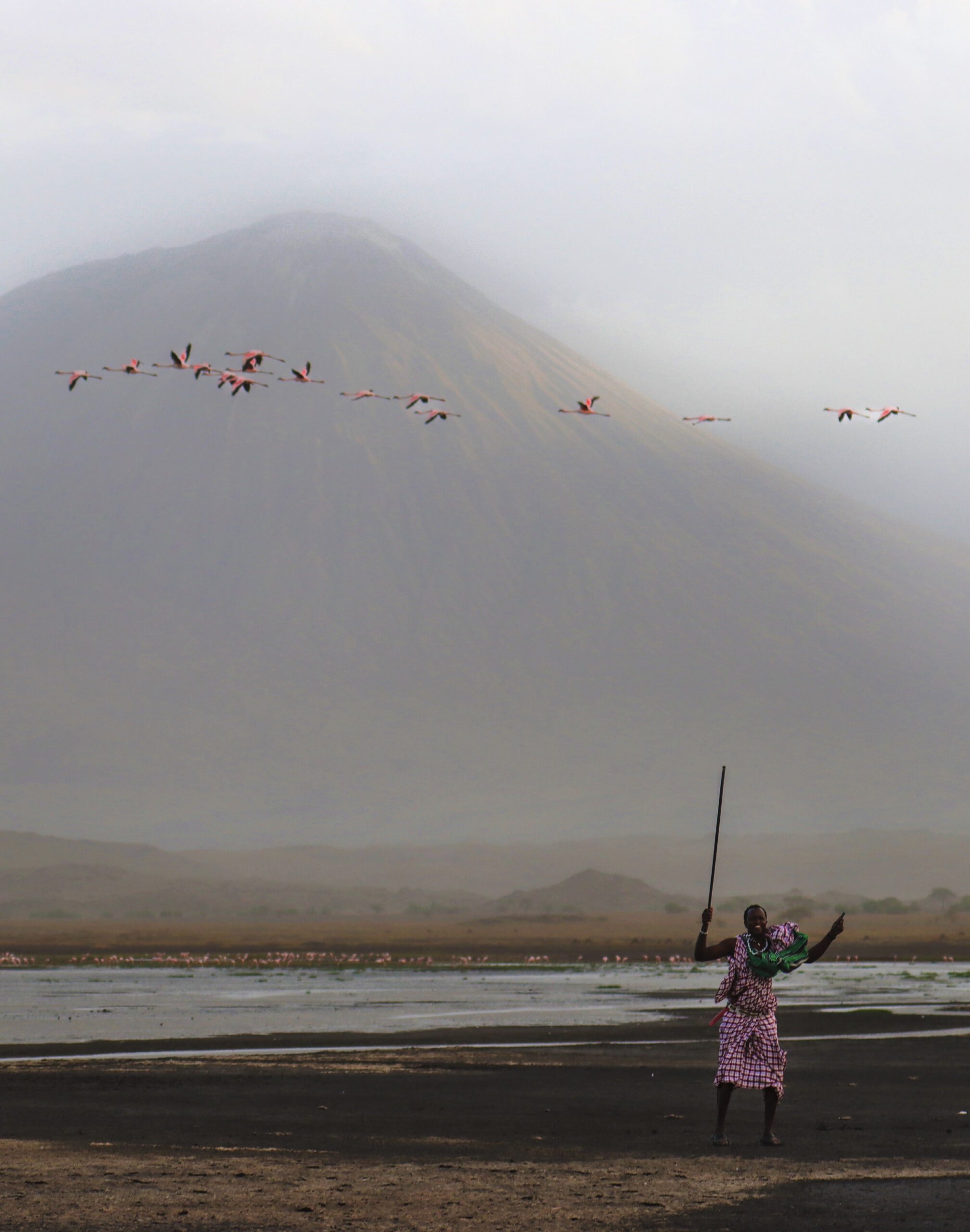 trekking-tanzanie-flamants-rose