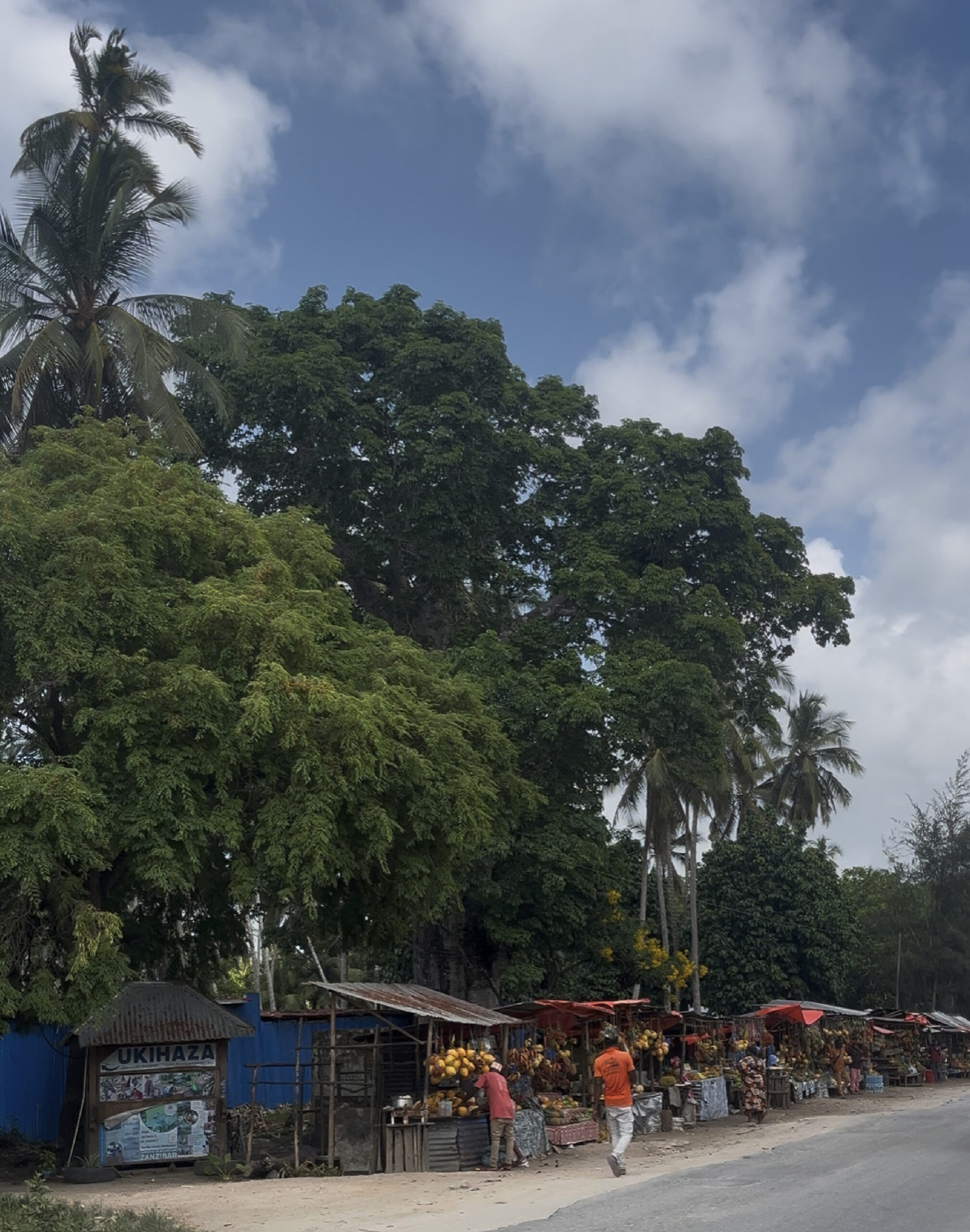 zanzibar-tanzanie-marché